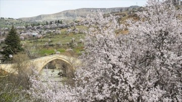 Tarihin doğayla bütünleştiği Çemişgezek'te ilkbahar güzelliği