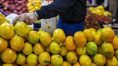 Tarım, gıda ve i&ccedil;ecek sekt&ouml;r&uuml;nden yılın ilk ayında 2,4 milyar dolarlık ihracat