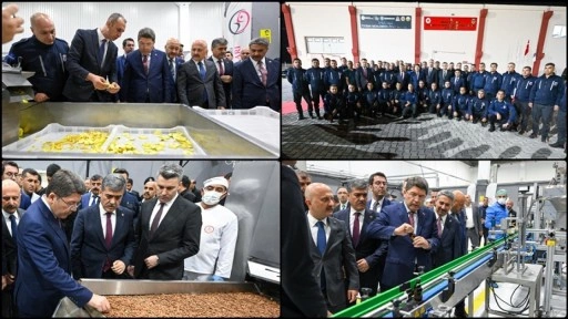 Tarım Mükemmeliyet Merkezi, hükümlülerin tarımsal üretime katılımını sağlıyor