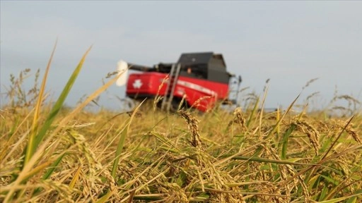 Tarım sigortaları kapsamında kasımda üreticilere 4,2 milyar lira hasar tazminatı ödendi