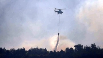 Tarım ve Orman Bakanı Yumaklı: 10 günde, 40 ilimizde 203 orman yangını meydana geldi