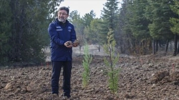 Tarım ve Orman Bakanı Yumaklı'dan ata tohumu mesajı