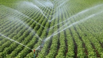 Tarım ve Orman Bakanlığı, KKTC'de 97,2 bin dekar arazi için sulama projesi başlatıyor