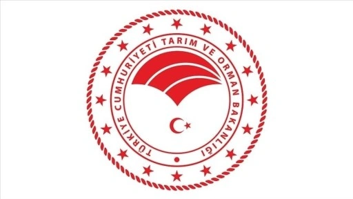 Tarım ve Orman Bakanlığı şap hastalığının kontrol altına alındığını bildirdi