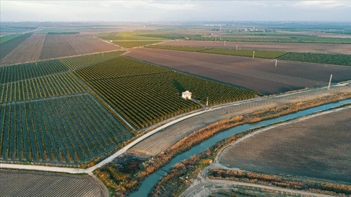 Tarıma dayalı yatırımlarda hibeye esas proje tutarı üst limitleri yükseltildi