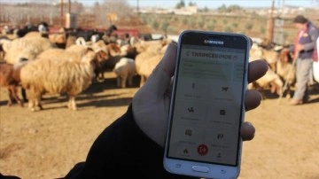 TarımCebimde mobil uygulamasını kullanan Kilisli üreticiler işlemlerini daha hızlı yapıyor