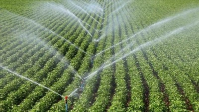 Tarımda ge&ccedil;en yıl 72 bin 149 hektar alan sulamaya a&ccedil;ıldı, 12 milyar lira katkı sağlandı