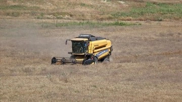 Tarımı toprakla iç içe öğrenen liselilerin el emeği buğdayları hasat edildi