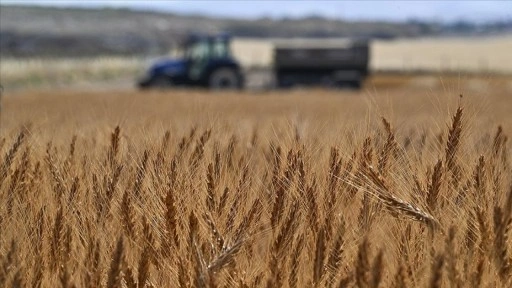 Tarımsal girdi fiyat endeksi ekimde yıllık y&uuml;zde 33,66, aylık y&uuml;zde 2,04 arttı