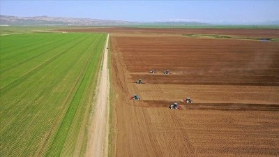 Tarımsal girdi fiyat endeksi haziranda yıllık bazda y&uuml;zde 32,06 artarken aylık y&uuml;zde 0,92 azaldı
