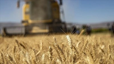 Tarımsal girdi fiyat endeksi nisanda yıllık y&uuml;zde 38,97, aylık y&uuml;zde 5,61 arttı