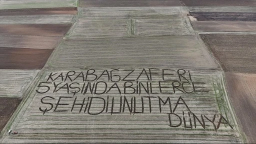 Tarlasına yazdığı kutlama mesajlarıyla bilinen Kırklarelili çiftçi bu defa da Karabağ zaferini kutladı