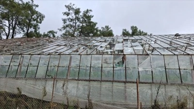 TARSİM, Antalya'daki selden etkilenen &uuml;reticilere 586 milyon lira hasar &ouml;demesi yapacak