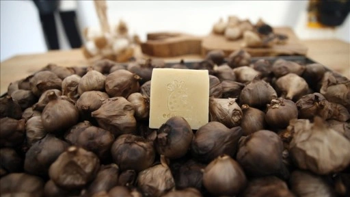 Taşköprü siyah sarımsağından sabun üretildi