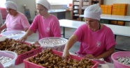Tayvan’a kuru incir ihracatında rekor artış