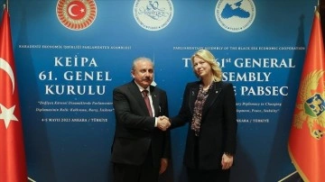 TBMM Başkanı Şentop, Karadağ Meclis Başkanı Durovic ile görüştü