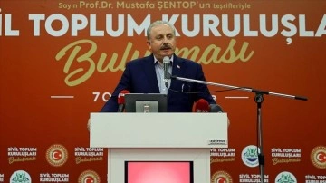 TBMM Başkanı Şentop: Türkiye'nin yeni dünyaya hazır olması lazım