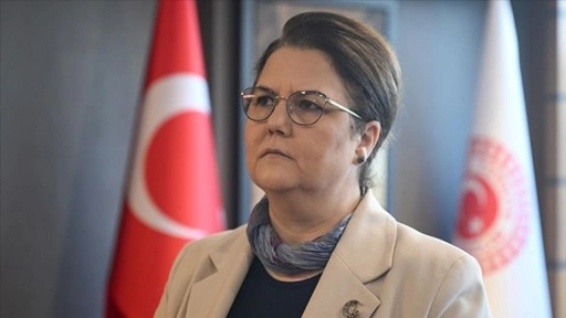 TBMM İnsan Haklarını İnceleme Komisyonu Başkanı Yanık: BMGK, İsrail'e fiili müdahale kararı alm