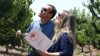 TBMM Zirai Don Olayını Araştırma Komisyonu taslak raporunu tamamladı