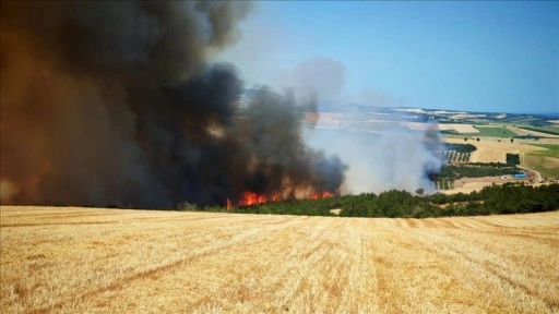 Tekirdağ'da anız yangını ormana sıçradı
