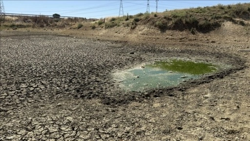 Tekirdağ'da kuruyan Çakıl Göleti'nde balıklar telef oldu
