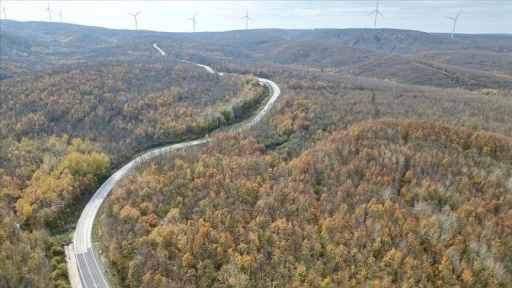 Tekirdağ'da ormanlar sonbahar renklerine büründü