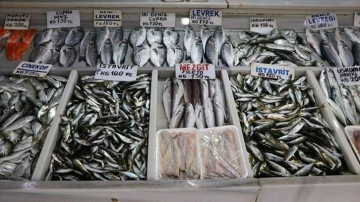 Tekirdağ'da balıkçılar sis nedeniyle denize açılamayınca balık fiyatları arttı