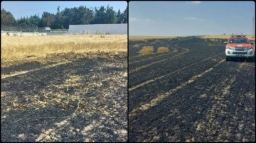 Tekirdağ'da buğday ekili tarlada çıkan yangında 15 dönüm alan zarar gördü
