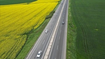 Tekirdağ'da kanola ve buğday tarlaları sürücülere renkli rota sunuyor
