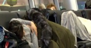 Terminalde mahsur kalan yolcular battaniyelere sarılarak uyudu