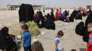 Terör örgütü DEAŞ tehdidi, Irak'ın Diyala vilayetinde 250 aileyi yerinden etti