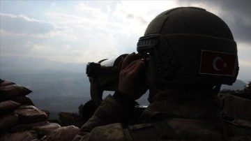 Terör örgütü PKK'dan kaçan bir terörist ikna yoluyla teslim oldu