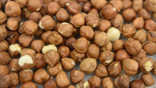 Ticaret borsalarında 8 ayda 550 bin tonu aşkın fındık işlem gördü