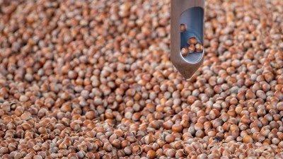Ticaret borsalarında 9 ayda 314 bin tonu aşkın fındık işlem g&ouml;rd&uuml;