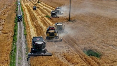 TİGEM'in Karacabey tesisleri yerli tohumluk buğdayda b&ouml;lge ihtiyacını karşılıyor