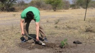 TİKA gönüllüleri Namibya'da fidan dikti