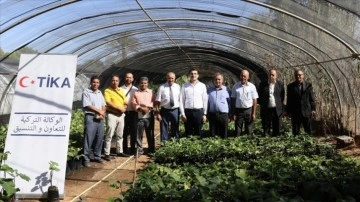 TİKA'dan Tunuslu çiftçilere incir fidesi desteği