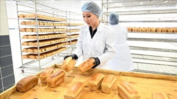 TİKA'nın Kırgızistan'da kurduğu modern ekmek fabrikası devlet kurumlarının ihtiyacını karş
