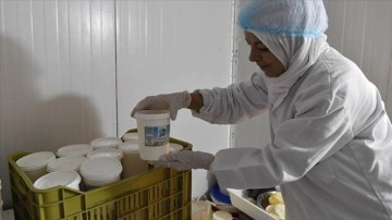 TİKA'nın Lübnan'da hayata geçirdiği projelerde çalışan birçok kadın kendi ekmeğini kazanıy