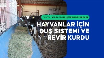 TKDK desteğiyle kurduğu çiftlikte günlük 3,5 ton süt üretiyor