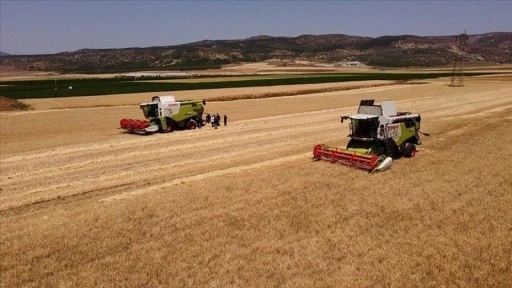 TMO, hububat alım bedellerini üreticilerin hesaplarına aktarmaya başladı