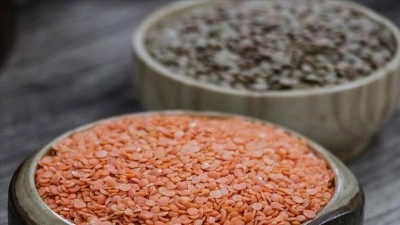 TMO'nun bu yıla ilişkin hububat alım politikası belirlendi