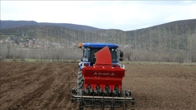 Tokat sarımsağının &uuml;retiminin artırılması ve markalaşması i&ccedil;in &ccedil;alışma y&uuml;r&uuml;t&uuml;l&uuml;yor