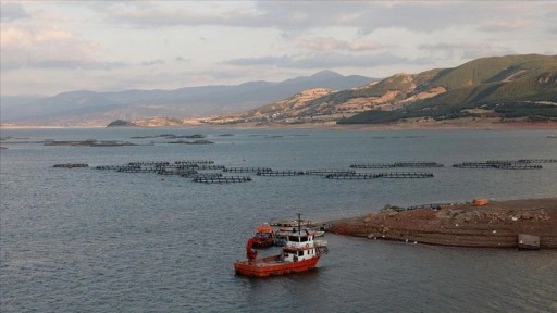 Tokat'tan Norveç, Hollanda, Rusya ve Japonya'ya balık ihracatı