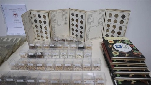 Toplam 122 bin 750 tohum örneği gen bankalarında korunuyor