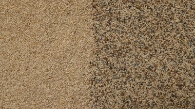 Toprak Mahsulleri Ofisi kilogramı 140 liradan haşhaş tohumu alacak