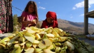Toroslar'ın elması damlarda kurutulup 'çerçi'lere satılıyor