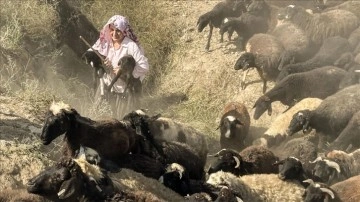 Torosların koyun yetiştiricisi kadınları, ıslah projesiyle bilinçlendi