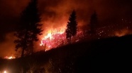 Trabzon'da 22 noktadaki örtü yangını söndürüldü