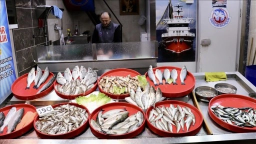 Trabzon'da balıkçı tezgahlarında çeşitlilik sürüyor